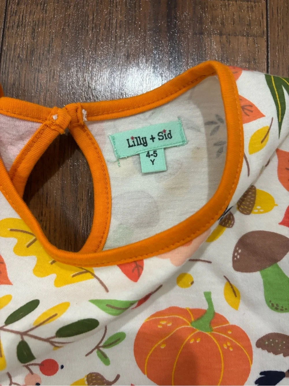 Lilly and Sid Autumn Fall Dress & Leggings Set NWOT Mushroom Pumpkin Acorn Birds